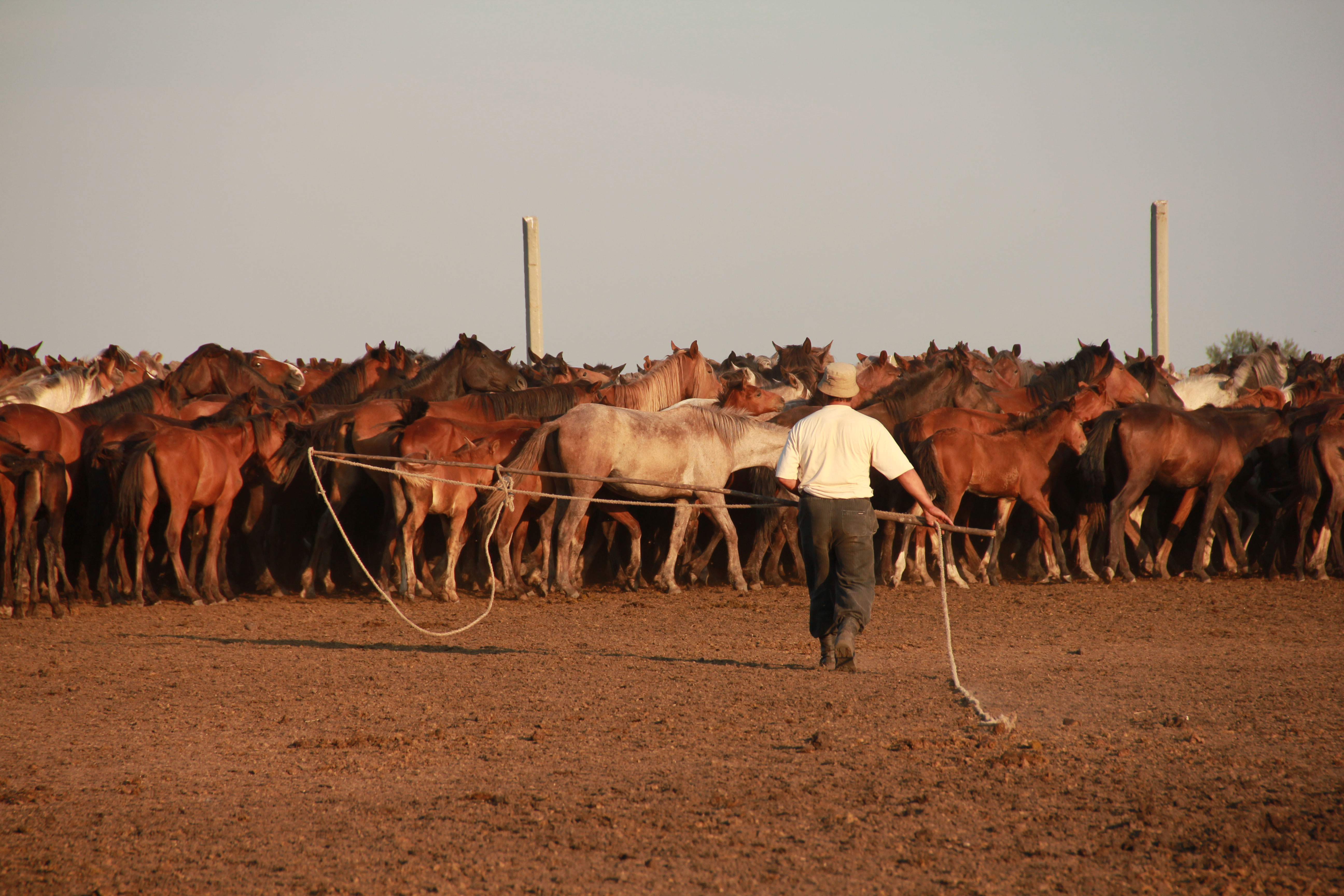 Horse breeder in Kazakhstan - Author: Ludovic Orlando