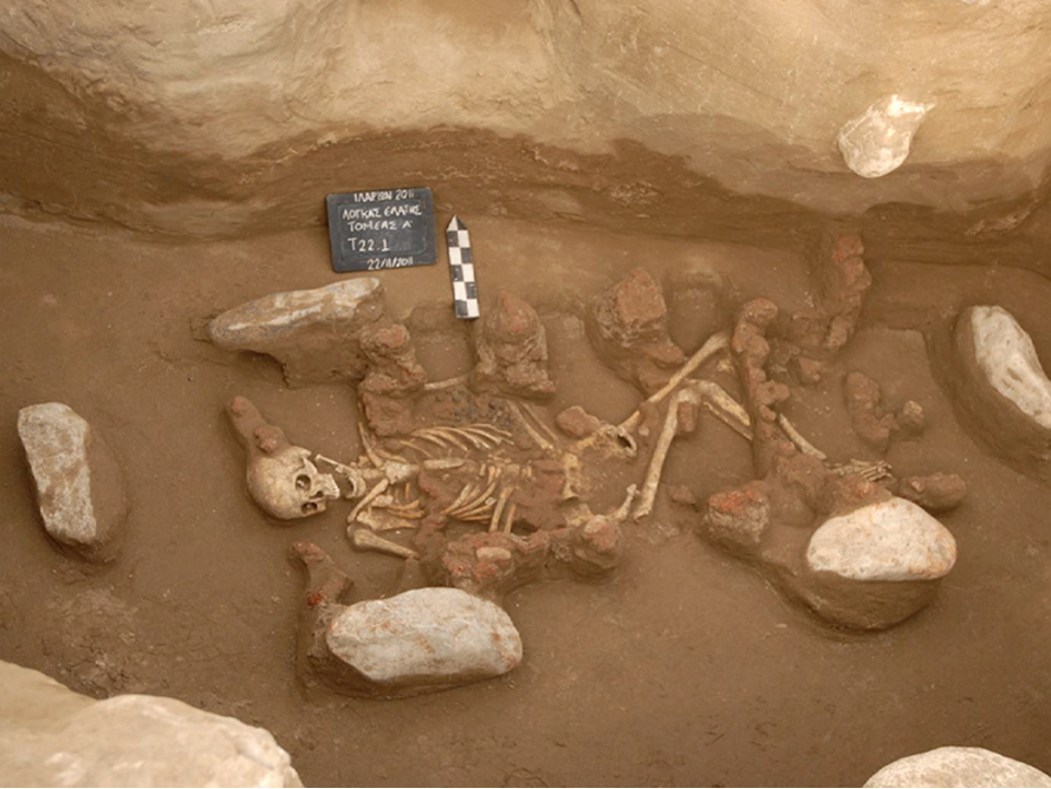 Skeleton of one of the two individuals who lived in the middle of the Bronze Age and whose complete genome was reconstructed and sequenced by the Lausanne team. It comes from the archaeological site of Elati-Logkas, in northern Greece. Credit: Ephorate of Antiquities of Kozani, Hellenic Ministry of Culture, Greece. Courtesy of Dr Georgia Karamitrou-Mentessidi.